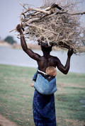 UN Photo/Kay Muldoon